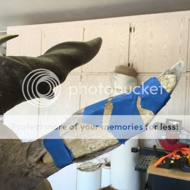 Making and using custom foam forms for your ear inserts